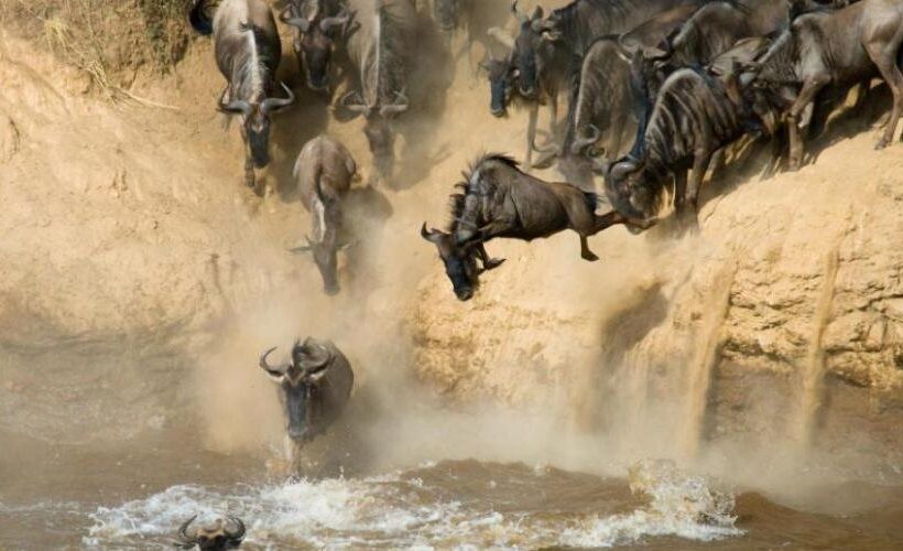 3 Days, 2 Nights Masai Mara Private Safari Packages