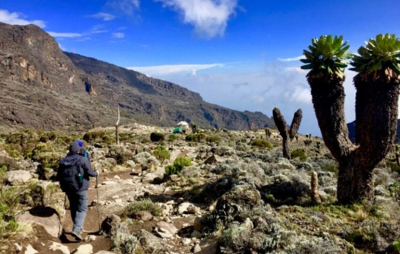 Mt Kilimanjaro Climbing: Machame (Whiskey Route)